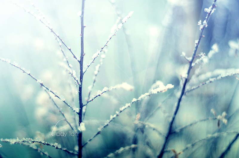 let it snow