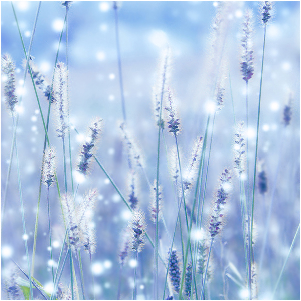 winters_tale